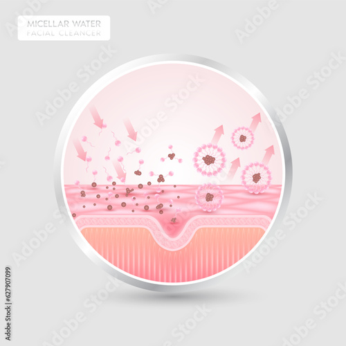Product label for product face cleanser design. Remove makeup with micellar water. Sectional remove dirt on skin cell with surfactant. Cosmetics solution facial care pore cleaning. Isolated vector.