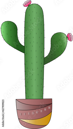 Cactus Growing in the Pot, Cactus in flat style on a white background. Home plants cactus in pots and with flowers. A decorative cactus with prickles and without.