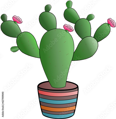 Cactus Growing in the Pot, Cactus in flat style on a white background. Home plants cactus in pots and with flowers. A decorative cactus with prickles and without.