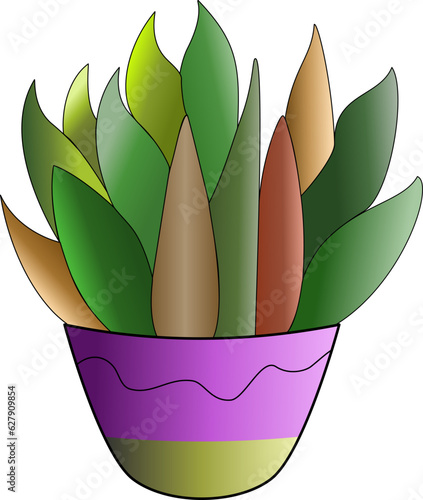 Cactus Growing in the Pot, Cactus in flat style on a white background. Home plants cactus in pots and with flowers. A decorative cactus with prickles and without.