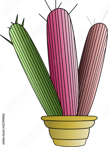 Cactus Growing in the Pot, Cactus in flat style on a white background. Home plants cactus in pots and with flowers. A decorative cactus with prickles and without.