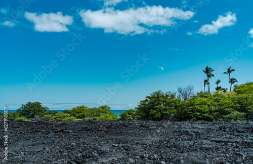 Lava Flow of 1801 . Kekaha Kai (Kona Coast) State Park. Mahaiula Beach, Big Island Hawaii. volcanic rock. Prosopis pallida. The coconut tree (Cocos nucifera). Cumulus humilis cloud. Hualalai Volcanics photo