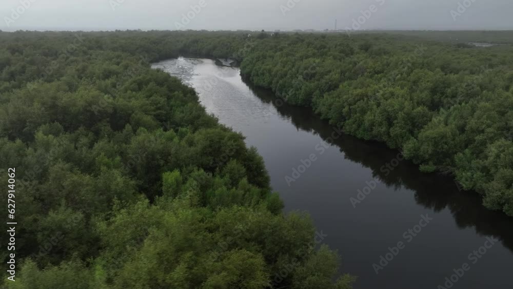 Aerial View Of Lush Mangrove Forest With River In Karachi Dolly Shot Aerial View Of Lush Mangrove Forest With River In Karachi Dolly Shot