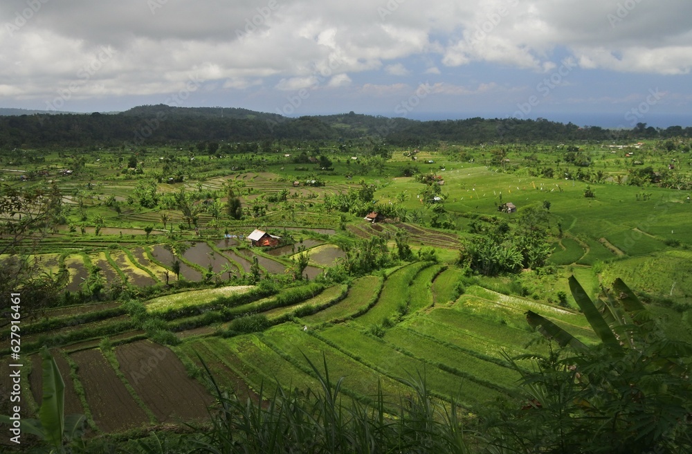 Beautiful rice field around Sidemen village in karangasem, Bali, Indonesia.