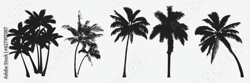 Exotic Silhouettes of Majestic Coconut Trees  Tropical Island Paradise Inspired Vector Artwork