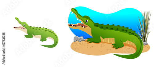 Illustration of a cartoon crocodile walking on the shore. An illustration with a funny crocodile. The crocodile is at his usual place of residence. Children's, printing for children's books © executioner4