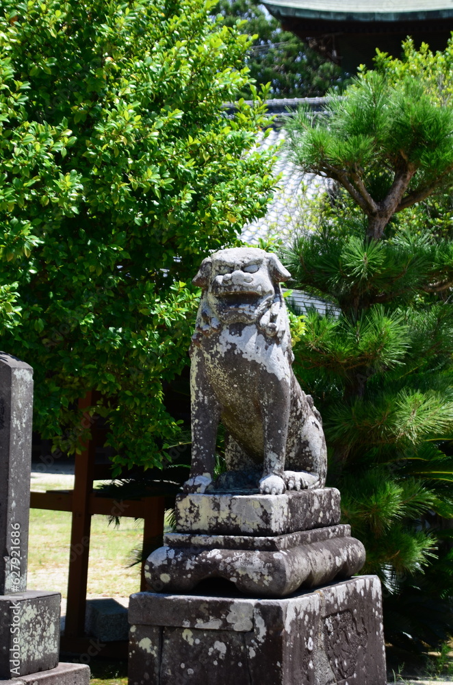 神社の狛犬
