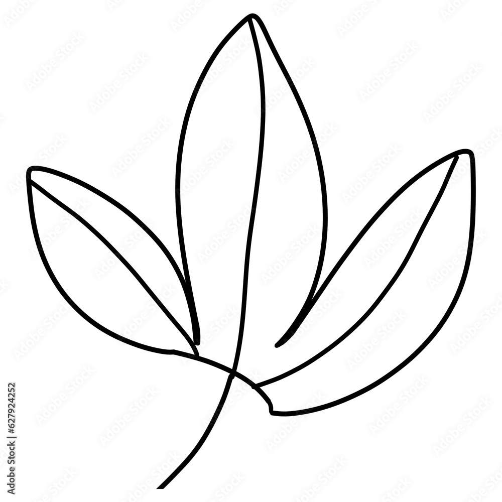 black and white leaf black and white leaf