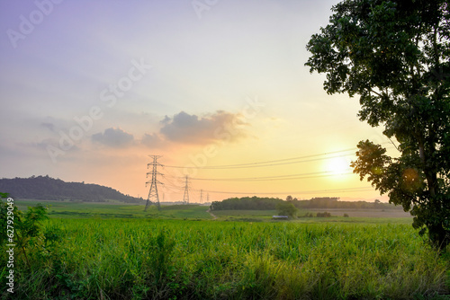 High voltage electricity distribution pole with trees shadow at sunset, electric supply transmission pylon line for energy generator technology industry