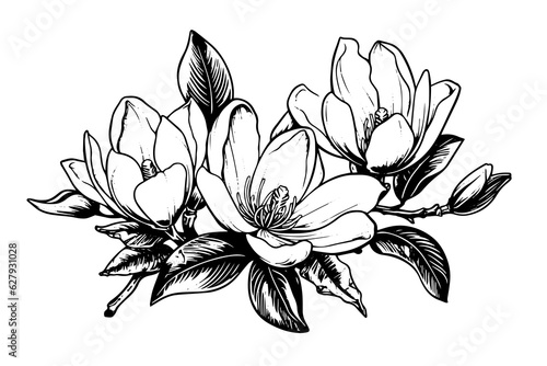 Hand drawn magnolia flower ink sketch. Engraving style vector illustration.