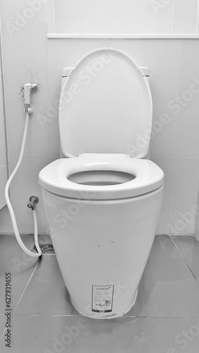 toilet bowl in the bathroom  toilet  toilet  water jet  white