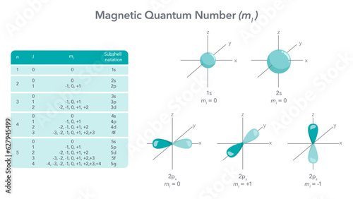 Magnetic quantum number physics vector illustration diagram