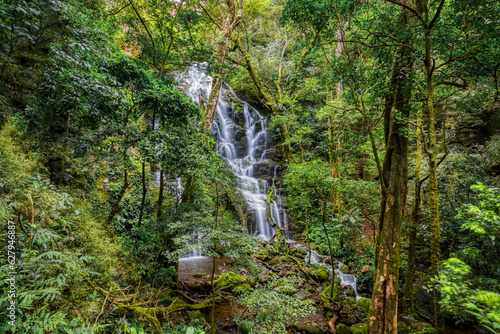 Fototapeta Hidden waterfall surrounded by green trees, vegetation, rocks, leaves floating o