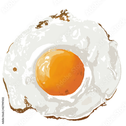 fried egg 