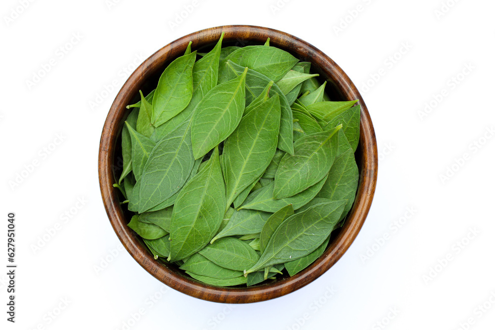 Henna or Lawsonia inermis leaves in a wooden bowl on white background Henna or Lawsonia inermis leaves in a wooden bowl on white background