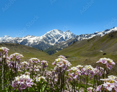 landscape with high mountains © yanlev