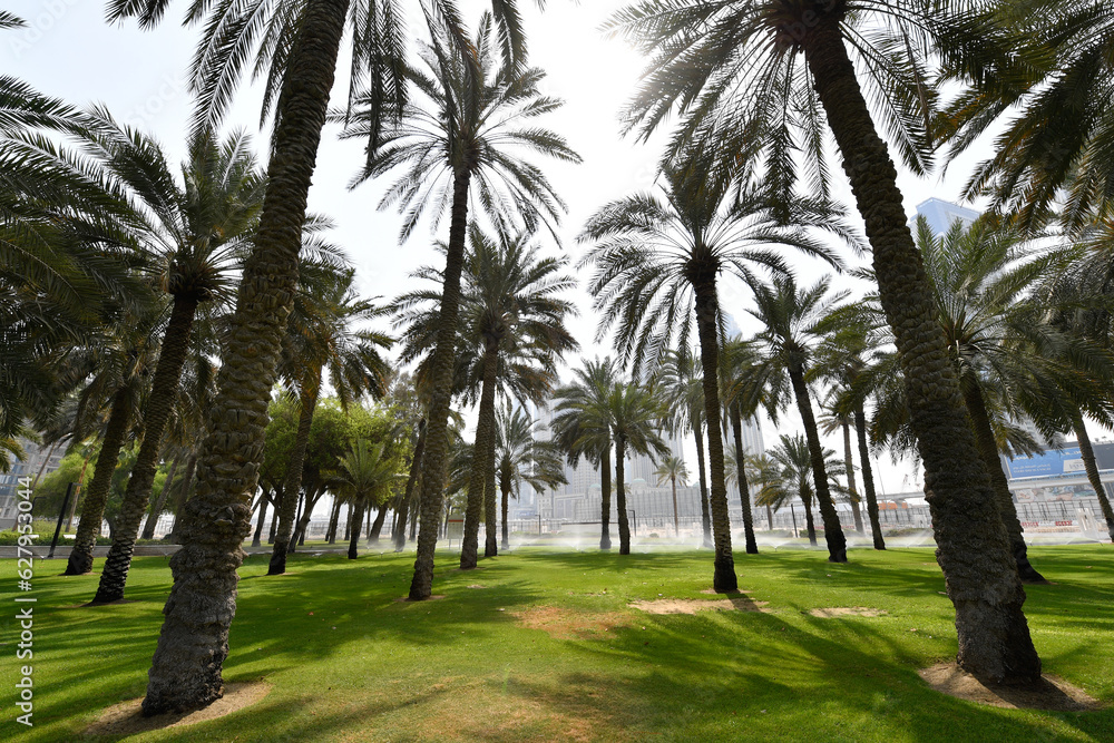 Safa area of Dubai on a summer's morning