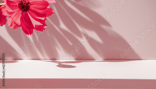 Abstract studio light red background for product presentation. Empty room with shadows of window and flowers and palm leaves. 3d room with copy space. Summer concert. beauty product placement.