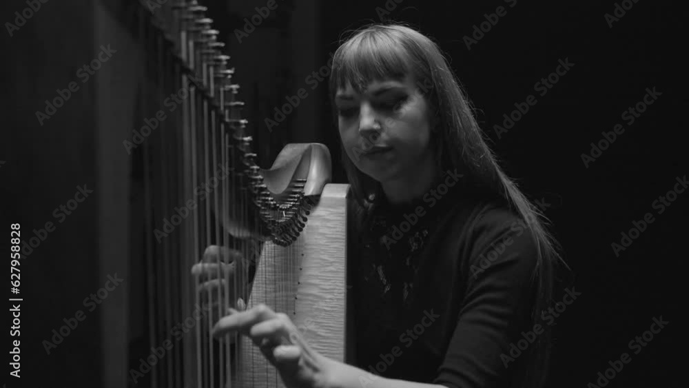 Woman Playing Harp Woman Playing Harp