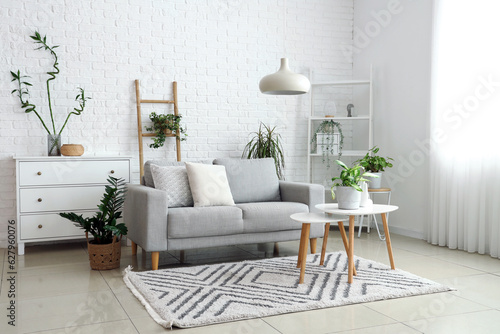 Fotografija Interior of light living room with grey sofa and houseplants