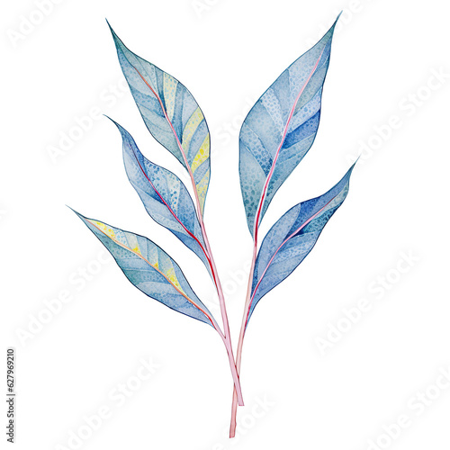 Heliconia Leaf,watercolor style,invitation card element.Created with Generative AI technology