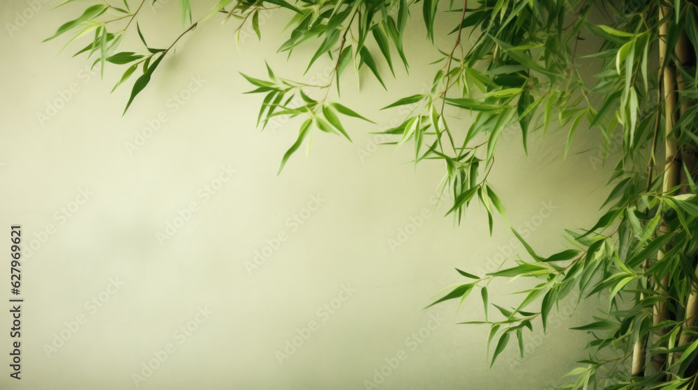 Bamboo forest in the morning. Frame, copy space Bamboo forest in the morning. Frame, copy space