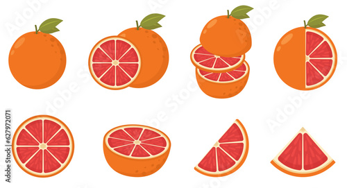 Illustration of red grapefruits in halves and wedges with its leaves isolated on white background. Grapefruit fresh slices set. 