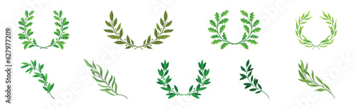 Green Twig and Wreath of Branch with Leaves Vector Set