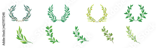 Green Twig and Wreath of Branch with Leaves Vector Set