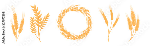 Ear of Wheat or Barley and Wreath as Grain Crop or Cereal Cultivated Grass on Stalk Vector Set