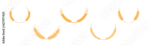 Ear of Wheat or Barley Wreath as Grain Crop or Cereal Cultivated Grass on Stalk Vector Set
