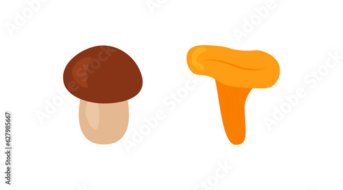  Set of edible mushrooms in flat style. White mushroom and chanterelle mushroom. Organic vegetarian product for menu, label, recipe, shop, packaging. Vector on white background eps 10.