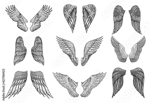 Set of Angel wings in vintage style. Template for tattoo and emblems, t-shirts and logo. Emblem for stickers. Engraved sketch. Vector illustration.