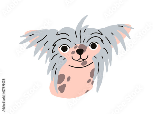 Cute funny puppy head of Chinese crested dog breed. Little amusing pup portrait. Small hairless doggy face. Canine animal, comic muzzle avatar. Flat vector illustration isolated on white background