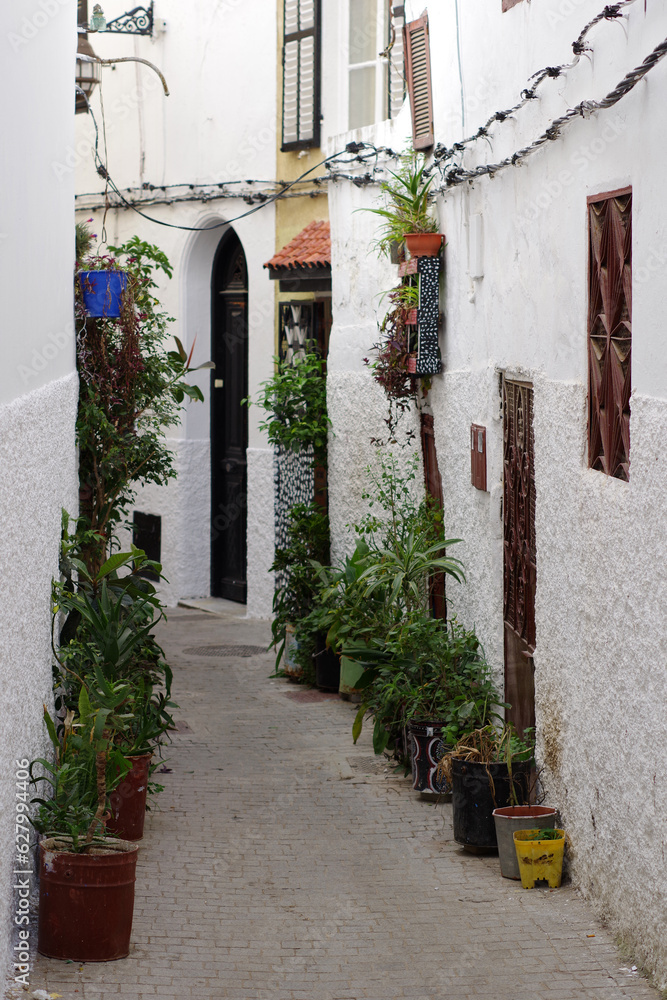 Fototapeta premium Ruelle de la kasbah de Tanger