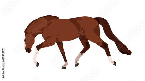 Horse, strong stallion running. Steed profile, side view, moving fast. Racehorse, brown mustang equine animal in action, motion with head down. Flat vector illustration isolated on white background