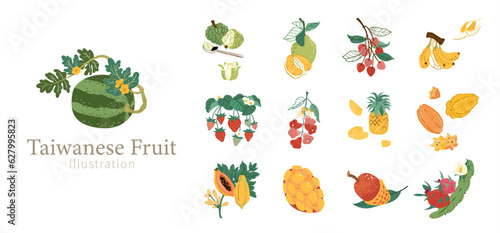 Taiwanese local fruit element set