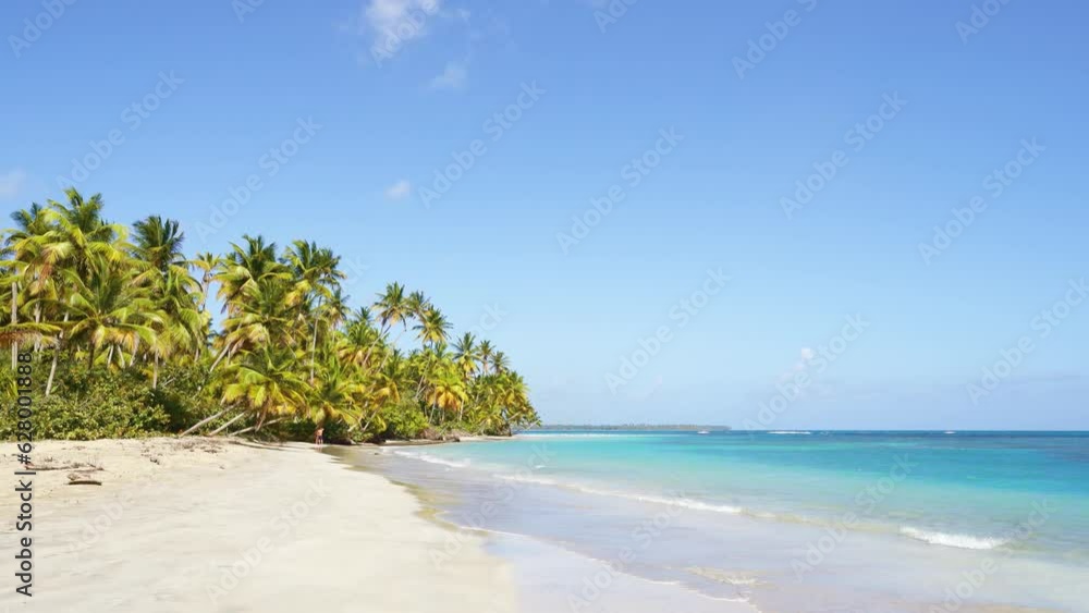Summer beach with bright tropical nature. Blue sky and colorful palm trees on white sand. Paradise sunny beach with palm trees and turquoise sea. Summer vacation and tropical beach concept. Summer beach with bright tropical nature. Blue sky and colorful palm trees on white sand. Paradise sunny beach with palm trees and turquoise sea. Summer vacation and tropical beach concept.