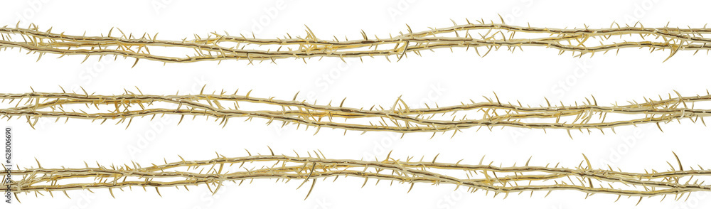 Fototapeta premium 3D artwork of the thorns worn by Jesus. This piece will be used for designing modern visual art publications related to Christianity, the suffering of Christ, and religious t