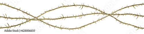 3D artwork of the Thorns worn by Jesus. This piece will be used for designing modern visual art publications related to Christianity, the suffering of Christ, and religious t