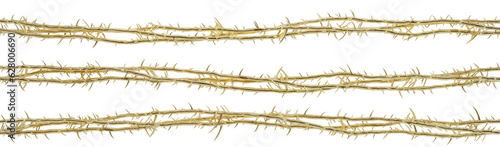 3D artwork of the thorns worn by Jesus. This piece will be used for designing modern visual art publications related to Christianity, the suffering of Christ, and religious t