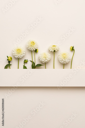 Creative layout made with flowers and paper tape for text on bright beige background. Flat lay. Spring minimal concept. Holiday mock up greeting card.