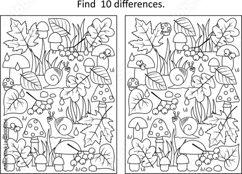 Autumn wonders. Difference game and coloring page activity with season items.
