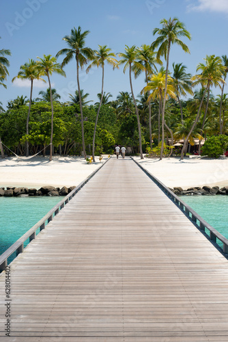 Maldives, palm trees and beautiful nature © supertramp8