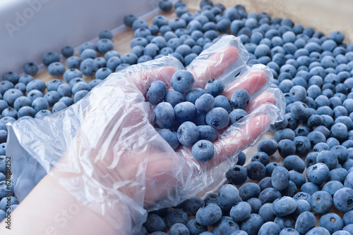 summer blueberry berry is sweet and healthy, frozen for winter