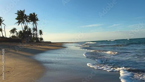 view down the beach at sunset with palm trees on the sandy shore photo