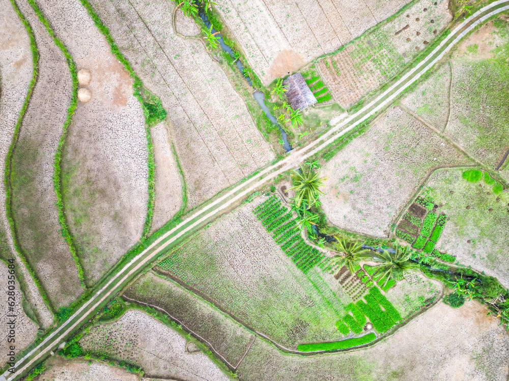 Fototapeta premium Aerial view of empty rice fields due to drought in Yogyakarta, Java, Indonesia. Concept for el nino la nina, global warming, climate change, extreme weather. Agricultural fields pattern and texture.