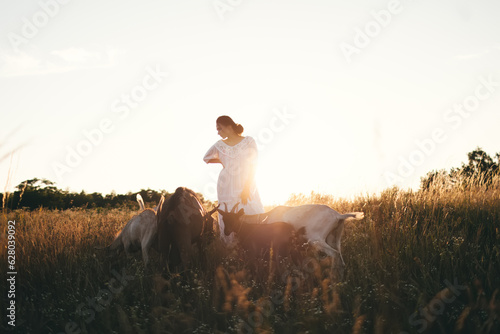 Young woman in white dress is walking with goats on the meadow at sunset. Attractive female farmer feeding her goats on her small business organic farm © sarymsakov.com