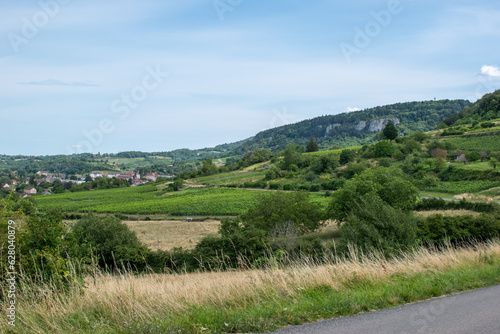 Vue de Poligny depuis le vignoble qui entoure la ville