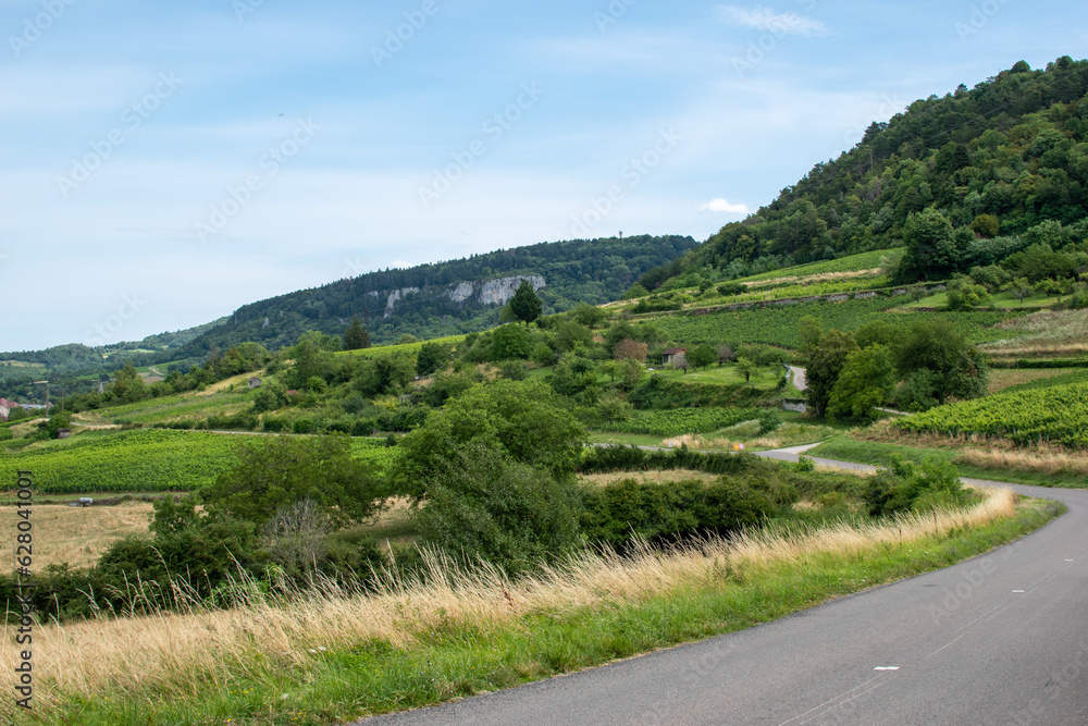 Vue de Poligny depuis le vignoble qui entoure la ville Vue de Poligny depuis le vignoble qui entoure la ville